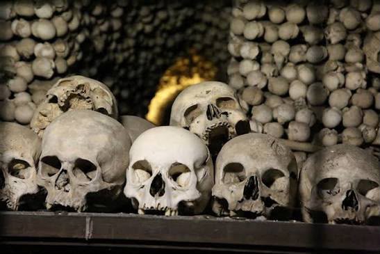 Skull and Bones society themes in films, television, and popular culture